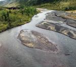 Tundra Wilderness Tour